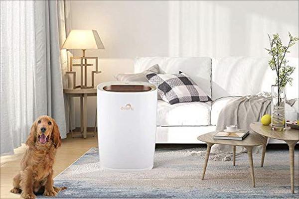Dolphy Air Purifier